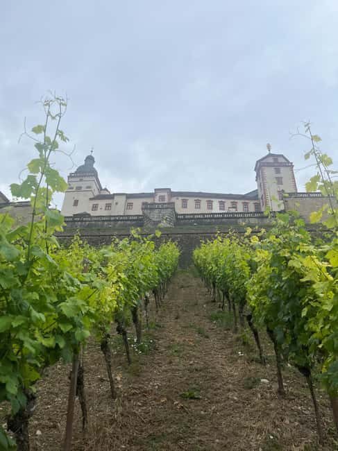 Between vineyards and a royal residence  enjoy Würzburg's wines with a view - Exploring Würzburgs Wine and Views: A Deep Dive