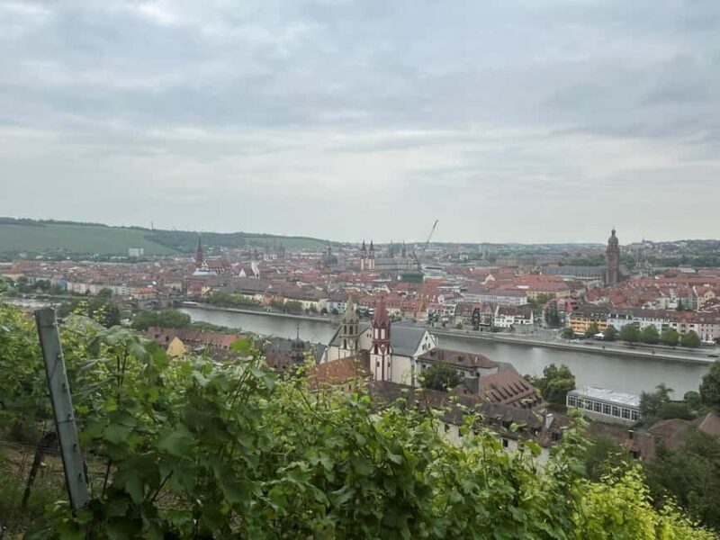 Between vineyards and a royal residence  enjoy Würzburg's wines with a view - The Sum Up