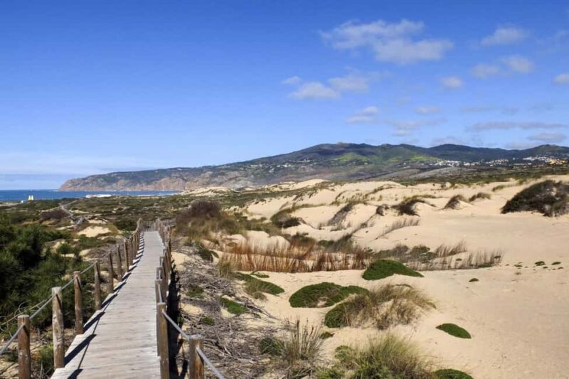 Between Worlds: Emotional Journey Through Sintra & Cascais - An Overview of the Experience
