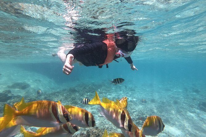 Beyond Angthong 42 Islands Premium Service Trip By Speedboat From Koh Samui - Introduction: What to Expect from the Beyond Angthong 42 Islands Tour