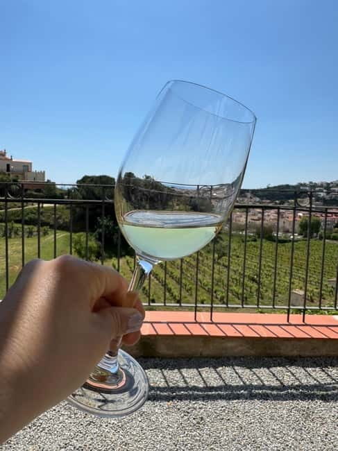 Beyond Barcelona: Gaudí, Wine & Hidden Treasures - FAQ