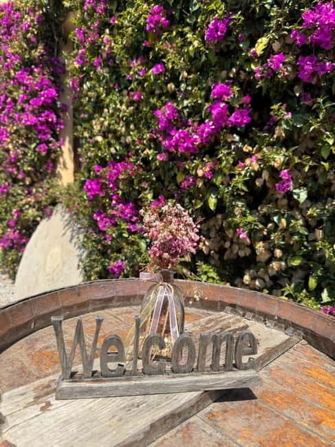 Beyond Barcelona: Gaudí, Wine & Hidden Treasures - Final Thoughts