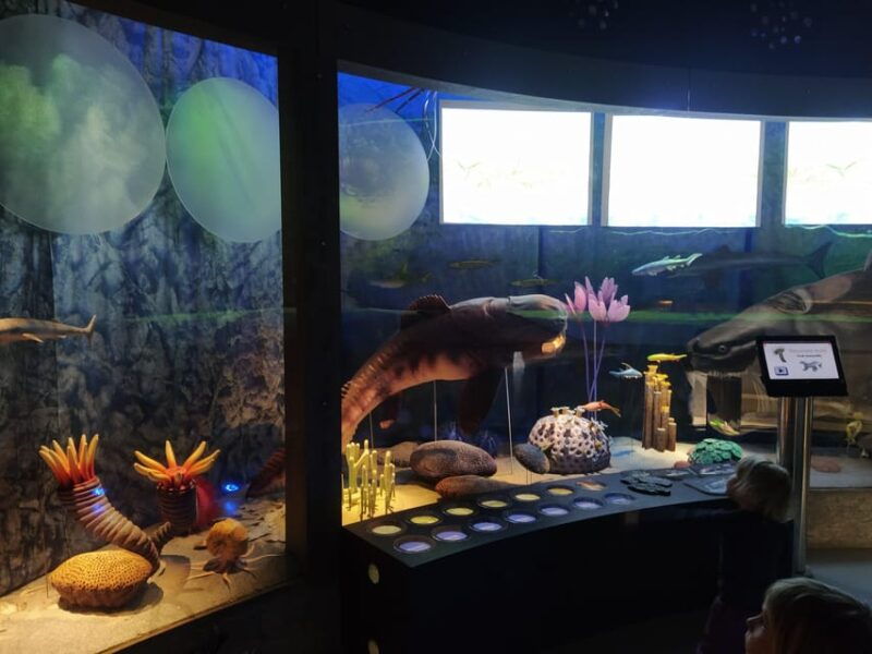 beyond-brno-best-of-czech-caves-full-day-hiking-tour