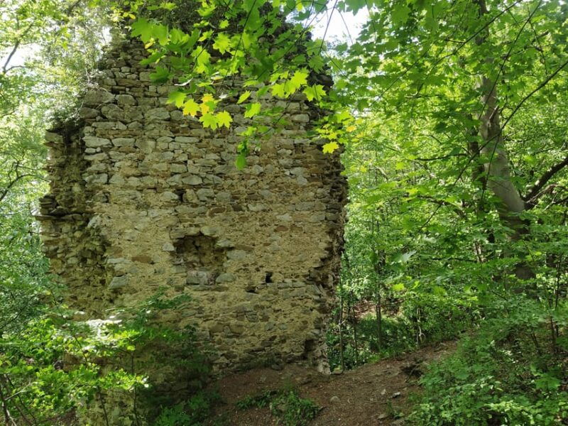 beyond-brno-secrets-of-moravian-nature-half-day-tour