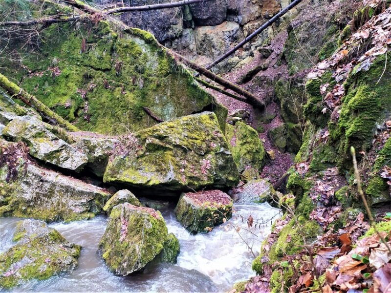 beyond-brno-secrets-of-moravian-nature-half-day-tour