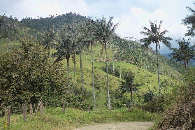 beyond-la-carbonera-bike-journey