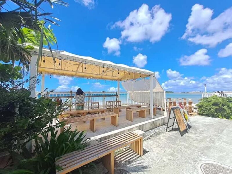 Beyond the Blue Horizon  A Day of Love and Light in Okinawa - Key Points