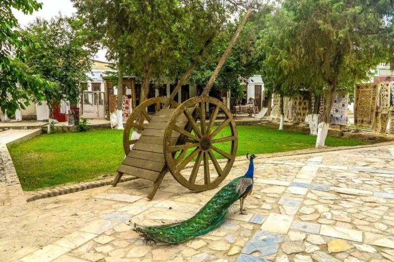 Beyond the Walls: Countryside Tour with Transport and Lunch - Exploring the Countryside Tour in Detail