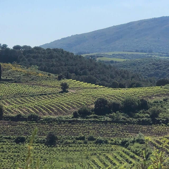 beziers-explore-the-faugeres-vineyards-with-a-picnic