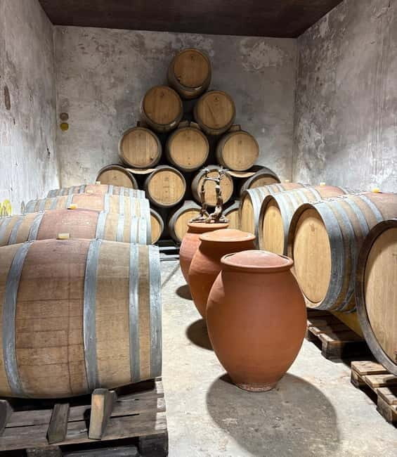 Béziers: Wine and Oyster Tasting Tour at Thau lagoon - Key Points