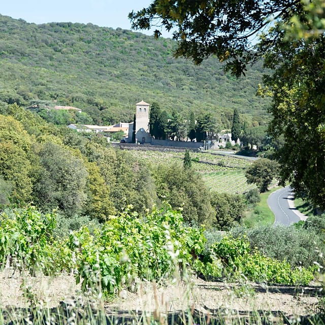 beziers-wine-tours-wine-tasting