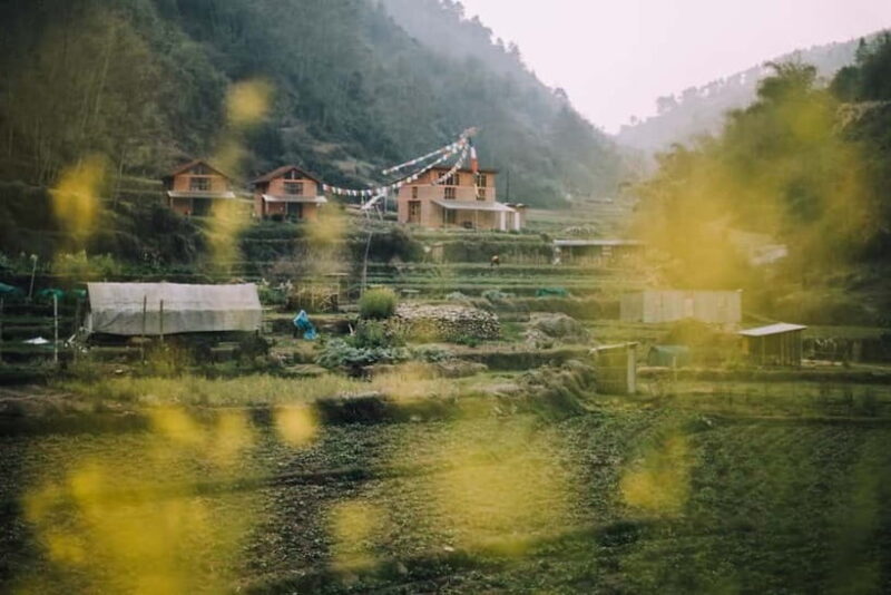 Bhaktapur: 3-Day Herb Nepal Farm Stay with Meals - Key Points