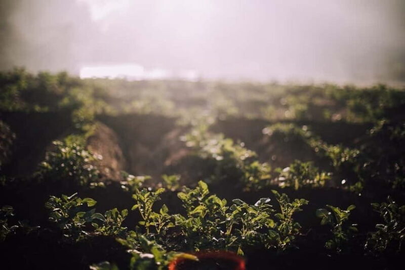 Bhaktapur: 3-Day Herb Nepal Farm Stay with Meals - Why This Tour Offers Great Value