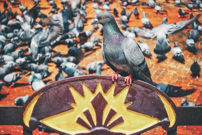 Bhaktapur And Patan Day Tour (Minimum 2 people) - FAQ