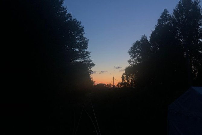 bialowieza-forest-unesco-world-heritage-tour-packages-native-english-speaker