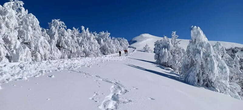 Biarritz: Day Trip to Pyrenees Mountains - Key Points