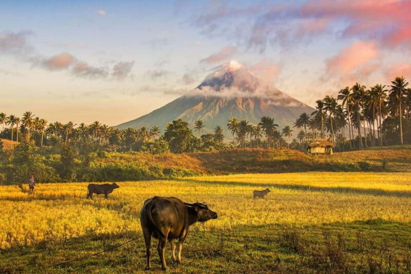 Bicol Mayon to Lava Front (Mayon Popular Destination) - Practical Tips for Your Trip