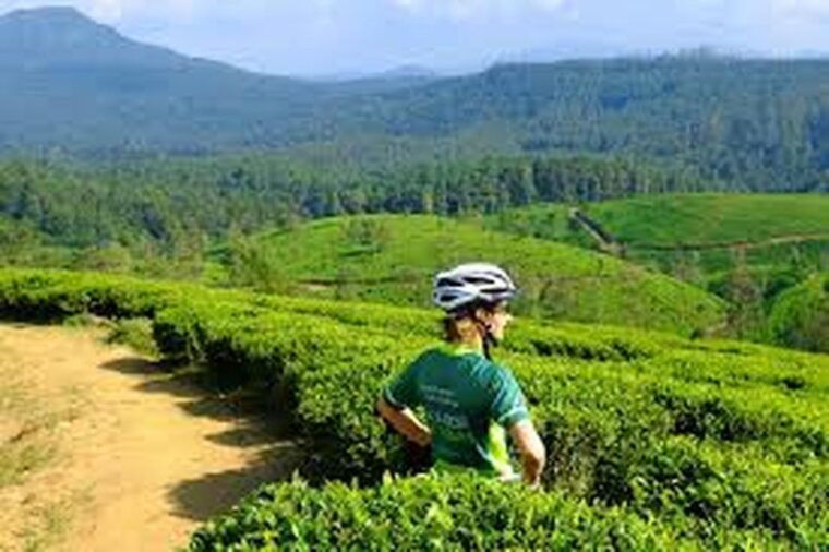 bicycle-adventureella-to-demodara-with-ninearch-bridge-tour