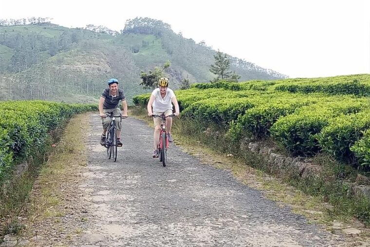 bicycle-adventureella-to-demodara-with-ninearch-bridge-tour