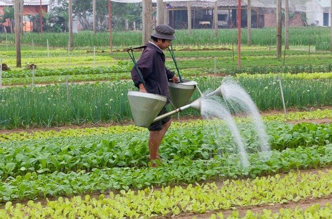 Bicycle experience countryside & cooking class in Hoi An - Who Would Love This Tour?