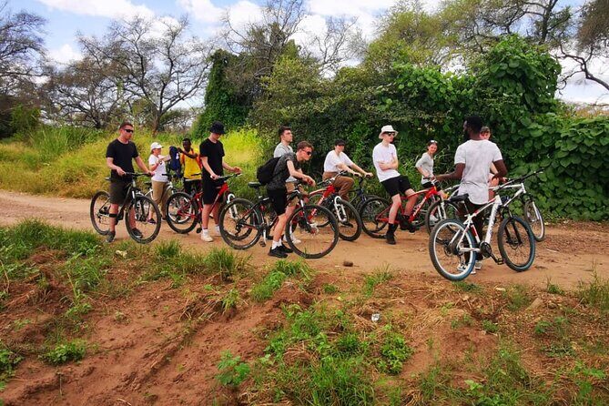 Bicycle Hire - An In-Depth Look at the Experience