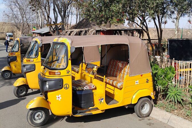 Bicycle or Tuk Tuk Soweto Guided Experience - Why This Tour Might Be a Great Choice for You