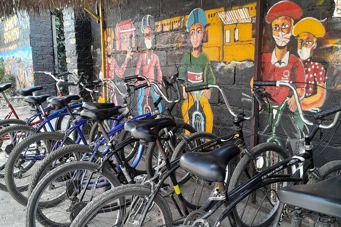 Bicycle or Tuk Tuk Soweto Guided Experience - Who Will Love This Tour?