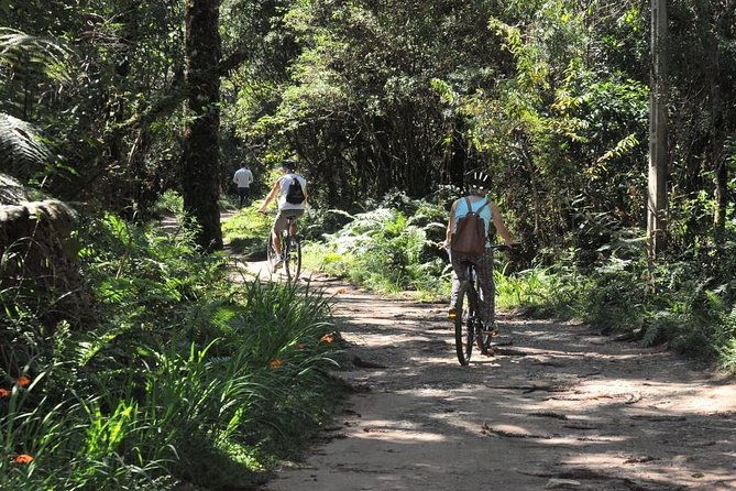 bicycle-rental-in-horto-florestal-campos-do-jordao