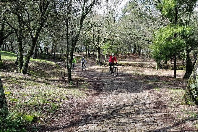bicycle-rental-in-porto-for-the-santiago-de-compostela-road