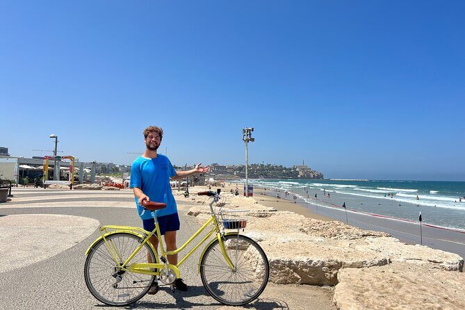 Bicycle Rentals - The Sum Up