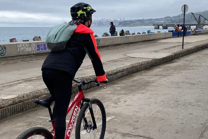 bicycle-ride-along-the-coastal-edge-of-vina-del-mar