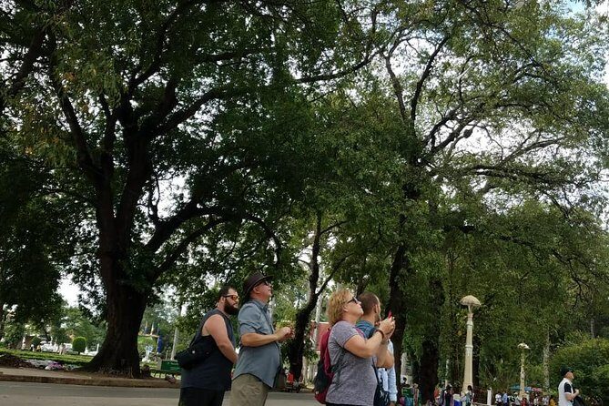 Bicycle Tour to Local village and rice fields in Siem Reap - Who Should Consider This Tour?