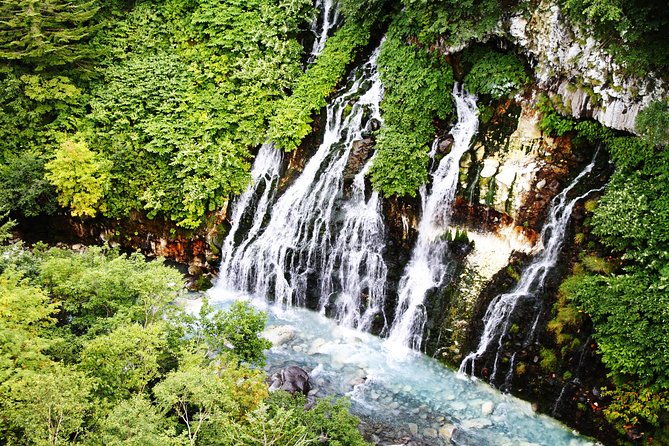 biei-furano-one-day-sightseeing-by-private-car