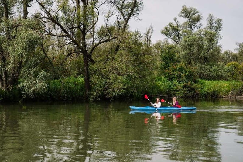 Biesbosch: Kayak Rental with Route Map and Life Jacket - The Sum Up