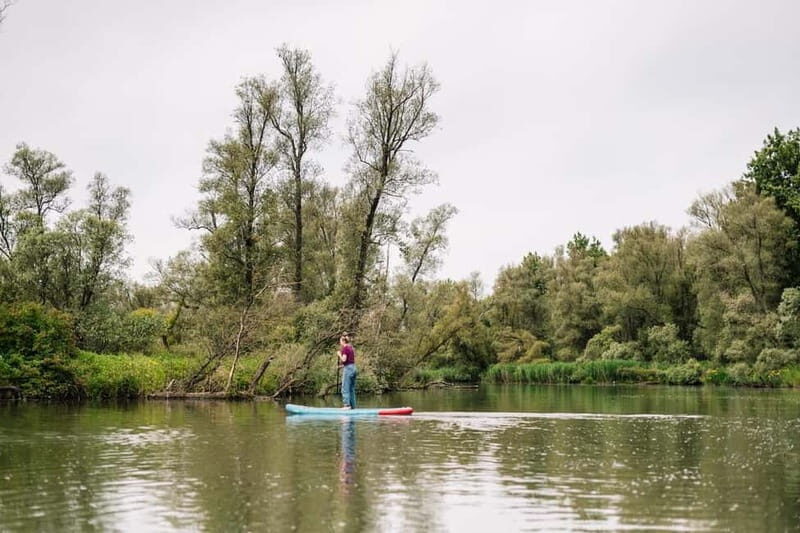 Biesbosch: SUP Board Rental - An Overview of the SUP Rental Experience in Biesbosch