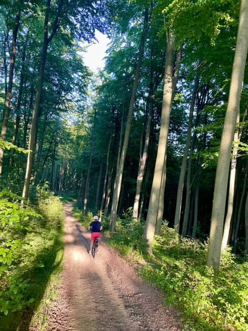 Bieszczady Mountains: Electric Bike Rental with Delivery - Key Points