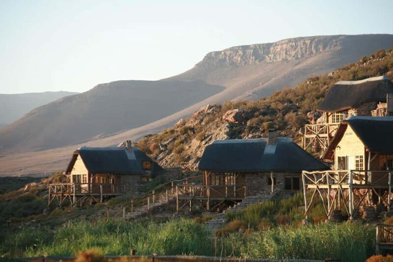 Big 5 Aquila Reserve Safari with Lunch and Tasting - Key Points