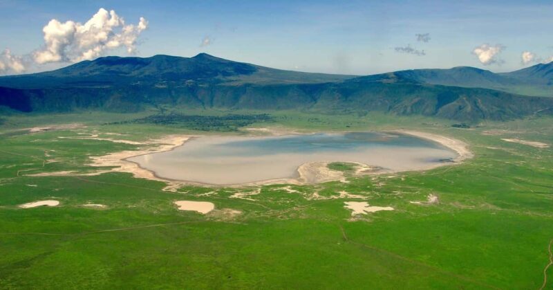 Big 5 Exploring in Ngorongoro Crater. - An In-Depth Look at the Ngorongoro Crater Safari