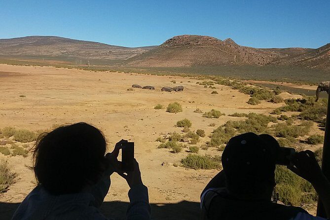 Big 5 Full Day Safari Aquila Lunch plus Breakfast From Cape Town - The Itinerary Breakdown