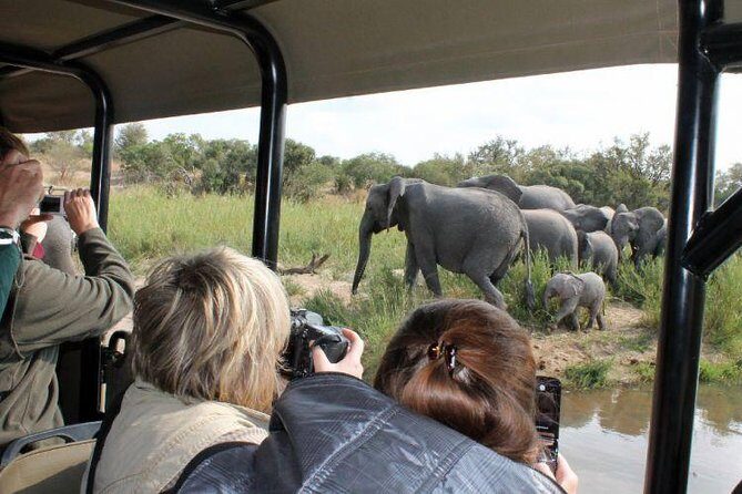 BIG 5 Kruger 3 Days Safari from Johannesburg - Key Points