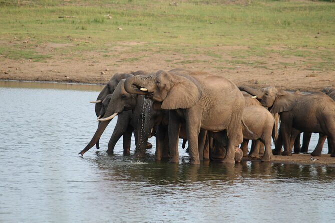 BIG 5 Kruger 4 Day Safari From Johannesburg - An Overview of the 4-Day Kruger Safari Experience