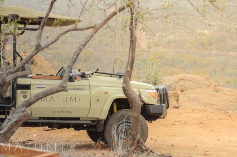 Big 5 Safari Am or Pm - What to Expect from the Experience