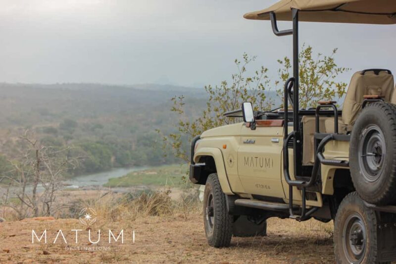 Big 5 Safari Am or Pm - The Role of Guides and Customer Insights