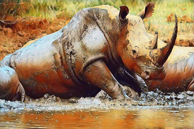 Big 5 Safari Experience at Pilanesberg National Park - FAQs