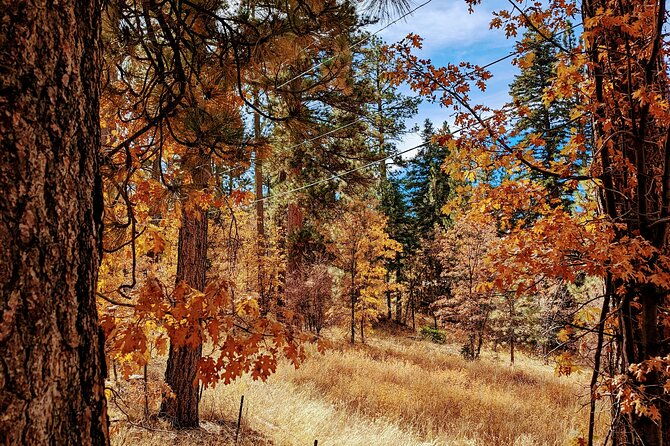 big-bear-fall-colors-hiking-tour-in-southern-california