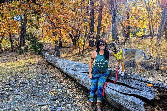 big-bear-fall-colors-hiking-tour-in-southern-california