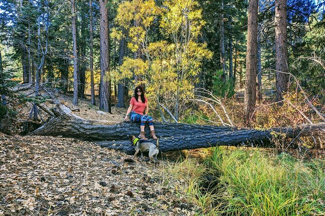 big-bear-fall-colors-hiking-tour-in-southern-california
