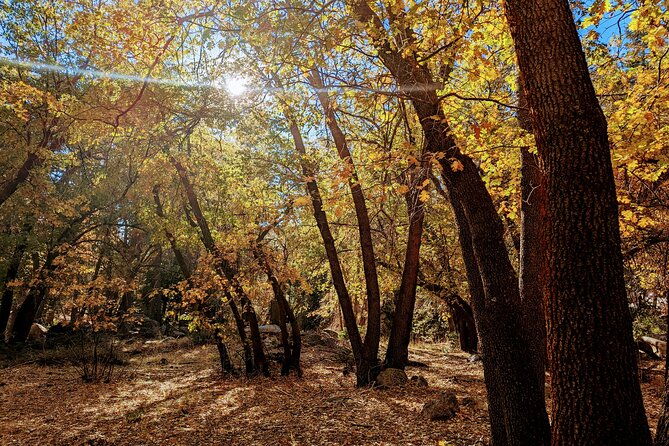 big-bear-fall-colors-hiking-tour-in-southern-california