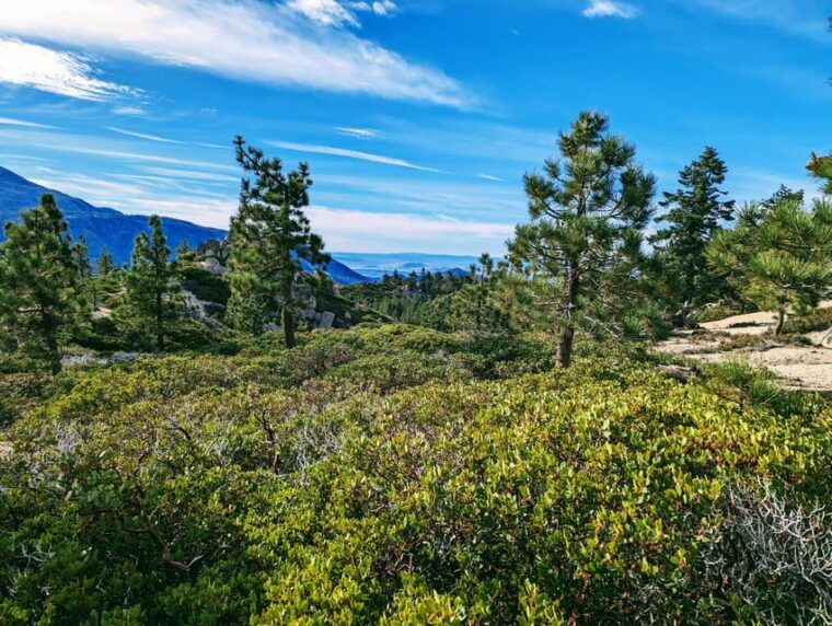 big-bear-family-friendly-nature-walk-w-hot-chocolate