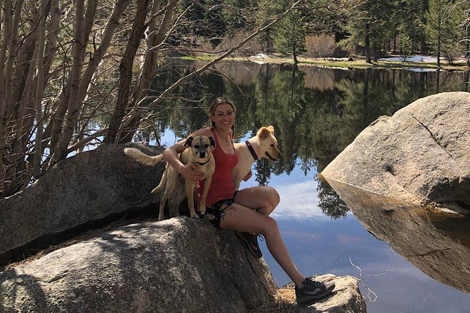 big-bear-jeep-off-road-tour-with-hike-to-bluff-lake-reserve